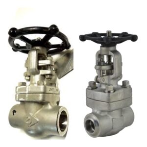 گیت ولو کلاس 1500 ساکت و دنده ای استنلس استیل 304-316