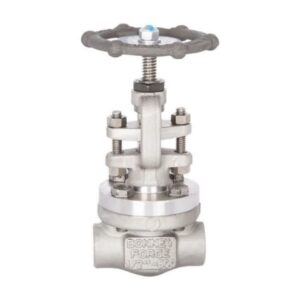 گیت ولو کلاس 800 ساکت و دنده ای استنلس استیل 304-316
