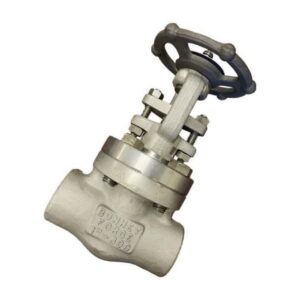 شیر سوزنی (گلوب ولو) ساکت و دنده ای کلاس 800 استنلس استیل 304-316
