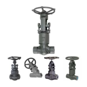 شیر سوزنی(گلوب ولو) کلاس 2500 لب جوش A182 F11-F22-F51-F53-F91
