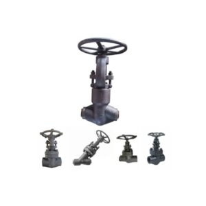 شیر سوزنی(گلوب ولو) کلاس 800 ساکت A182 F11-F22-F51-F53-F91