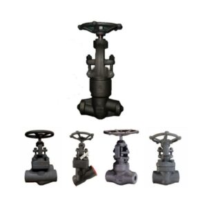شیر سوزنی(گلوب ولو)کلاس 1500 ساکت A182 F11-F22-F51-F53-F91